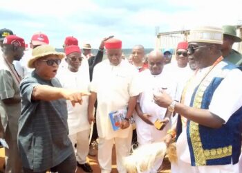 Pinnacle Consultant Hospital